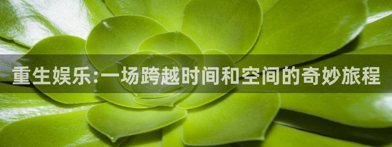 南宫大舞台官网入口：重生娱乐:一场跨越时间和空间的奇妙旅程