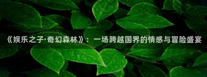 NG大舞台：《娱乐之子·奇幻森林》：一场跨越国界的情感与冒险盛宴