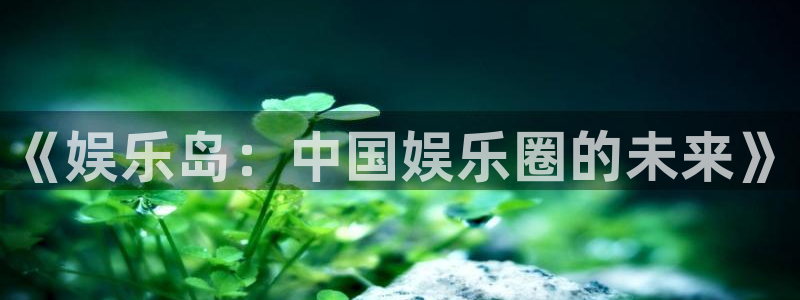 南宫大舞台官网入口：《娱乐岛：中国娱乐圈的未来》