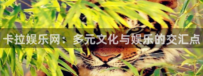 南宫大舞台：卡拉娱乐网：多元文化与娱乐的交汇点
